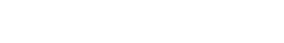 McLendon-Chisholm Authority