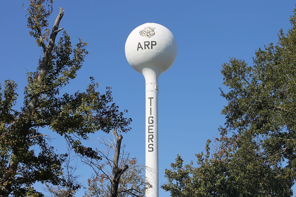 Arp Authority